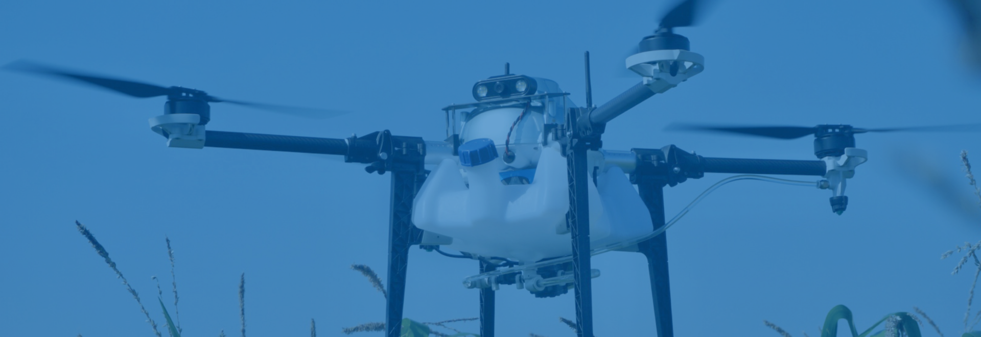 DX5-header